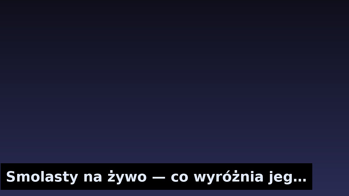 Smolasty na żywo — co wyróżnia jego koncerty